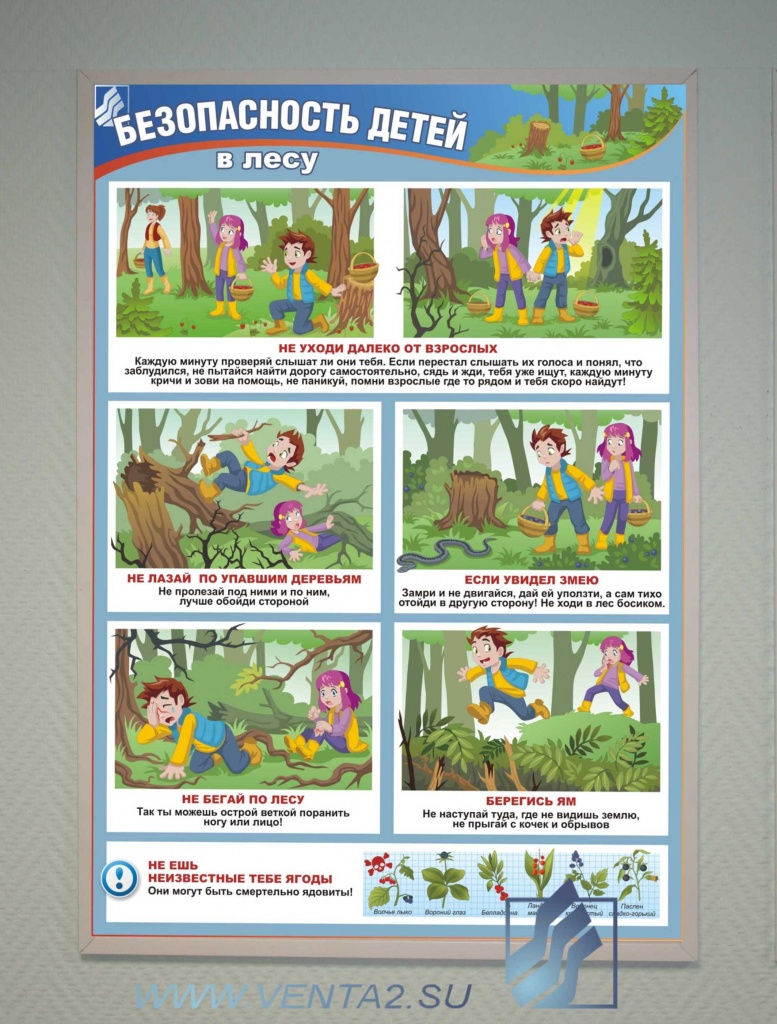 Правила поведения в лесу летом для детей