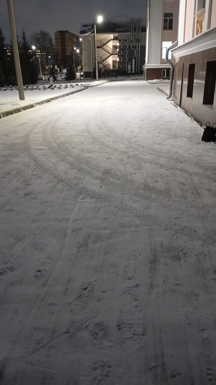 IMG 20251211 083640 701