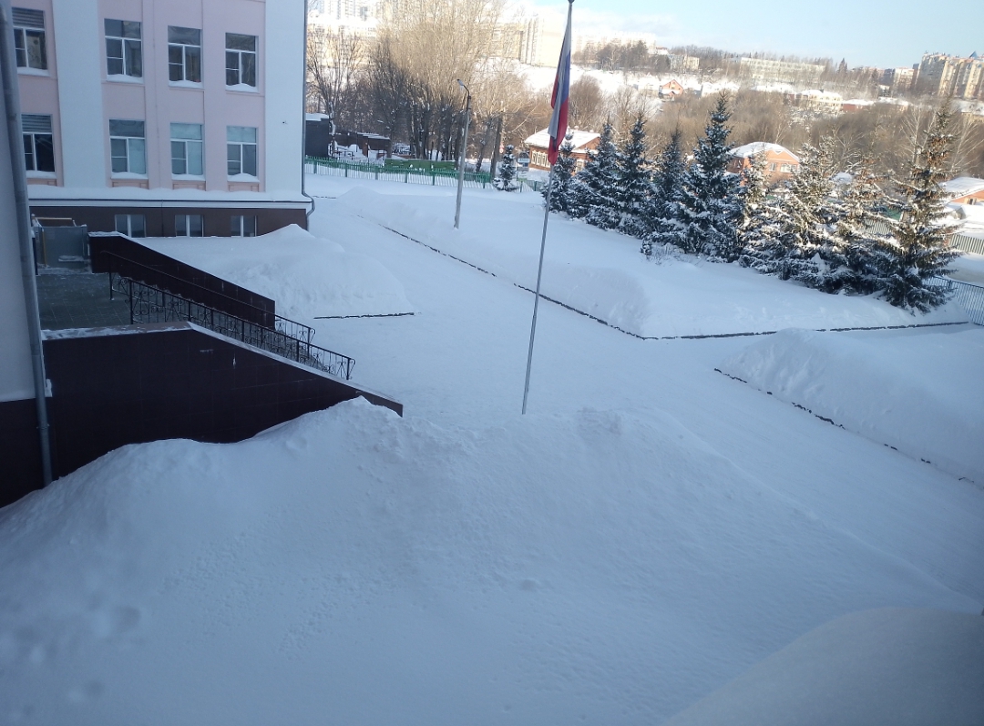 IMG 20260203 092620 658