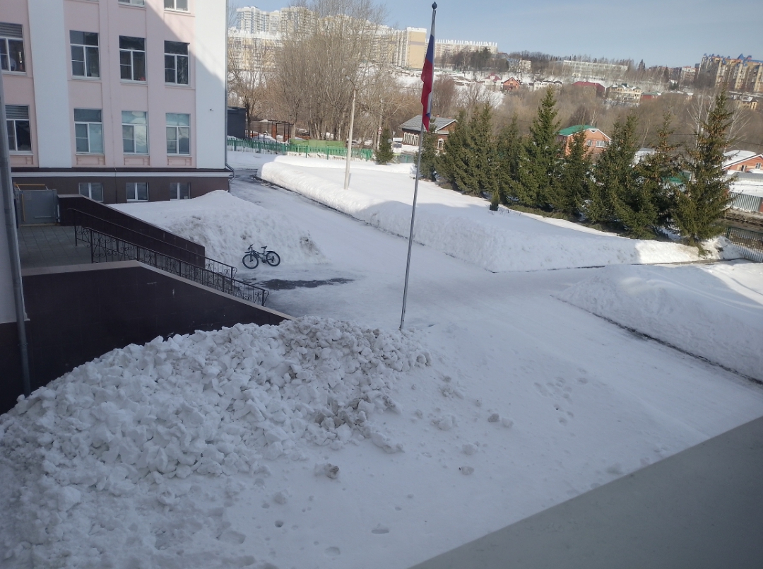 IMG 20260317 094545 801