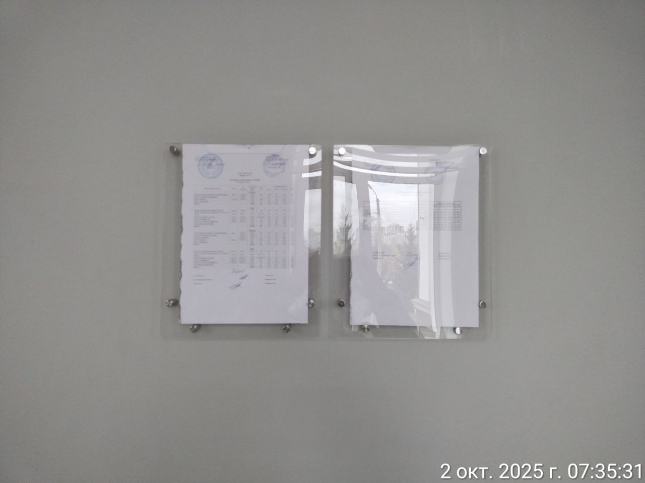 photo 5400115153980225297 y