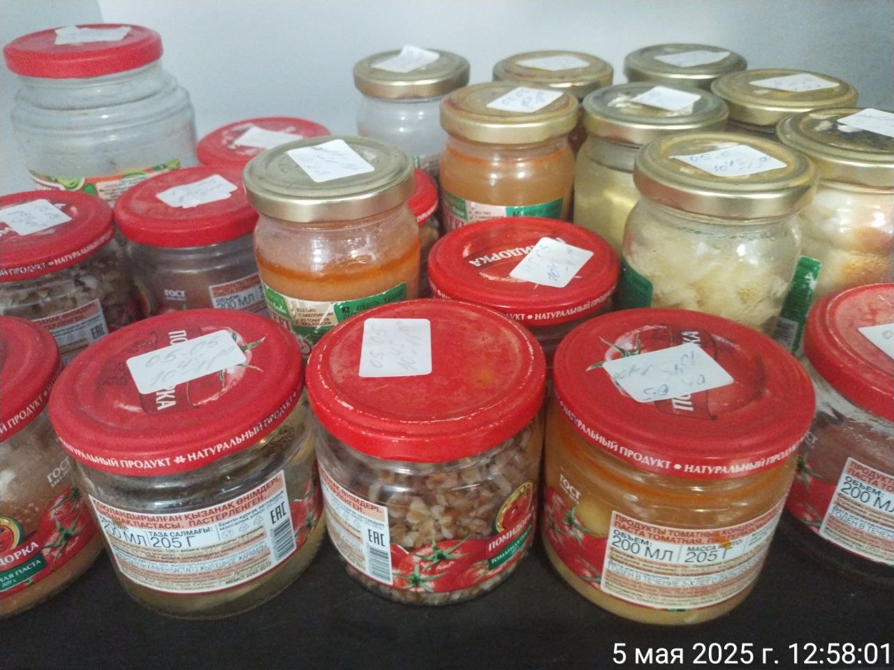 photo 2025 05 05 12 59 20 2