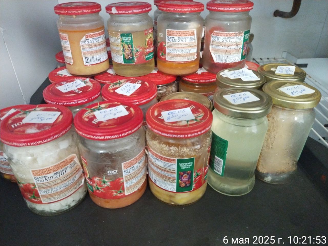 photo 2025 05 06 10 19 31 4