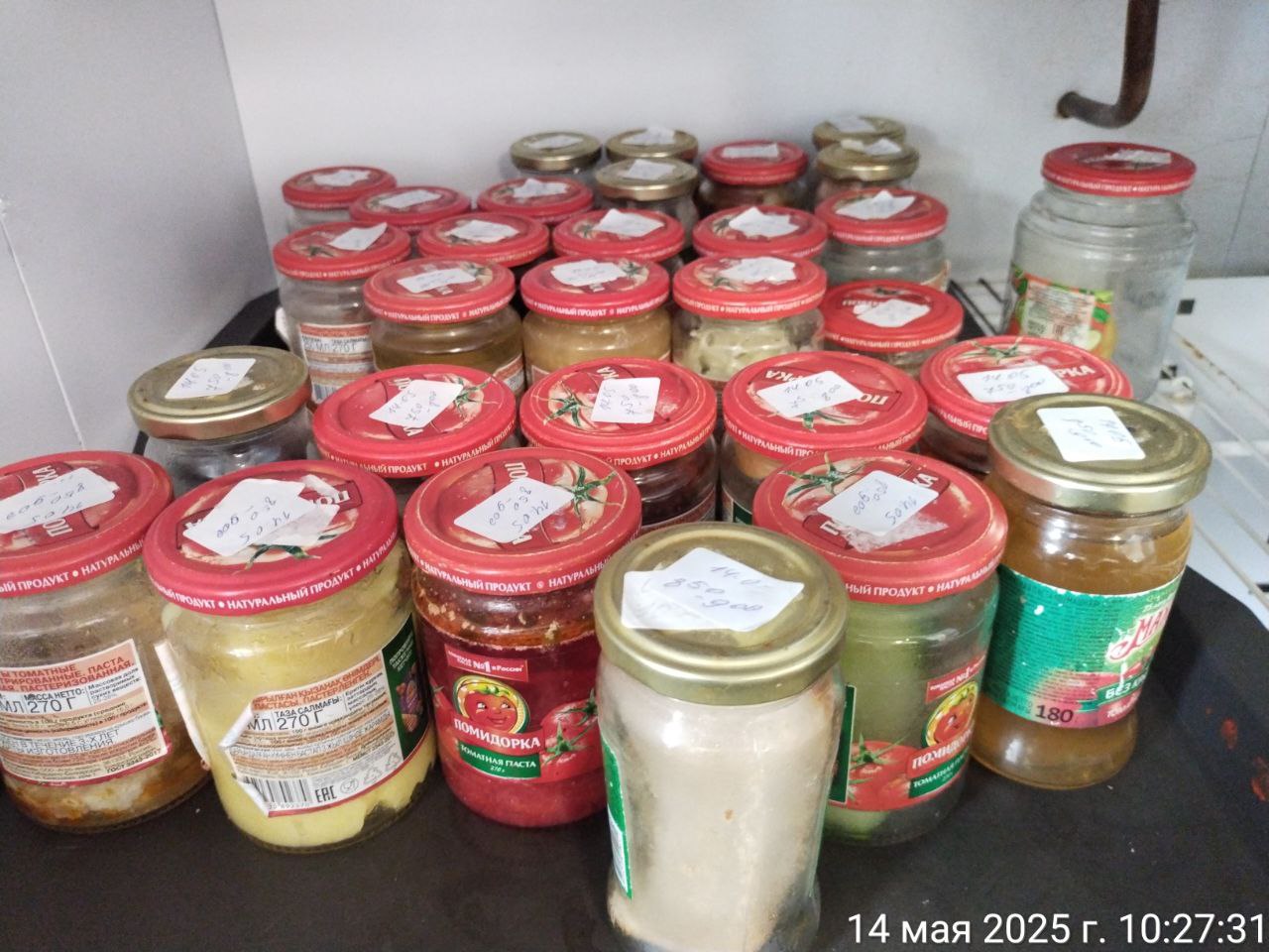 photo 2025 05 14 11 09 49