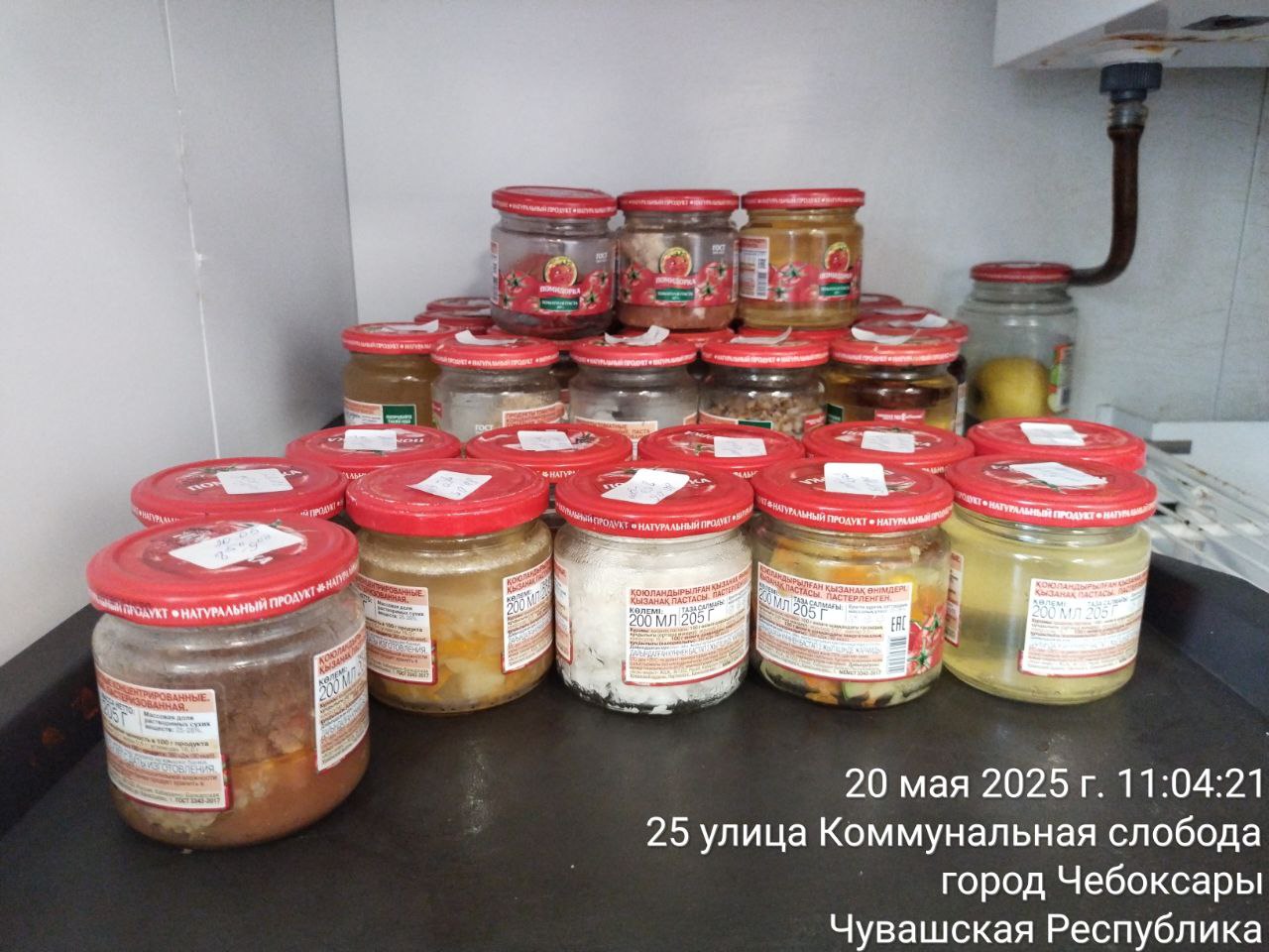 photo 2025 05 20 11 13 53 2