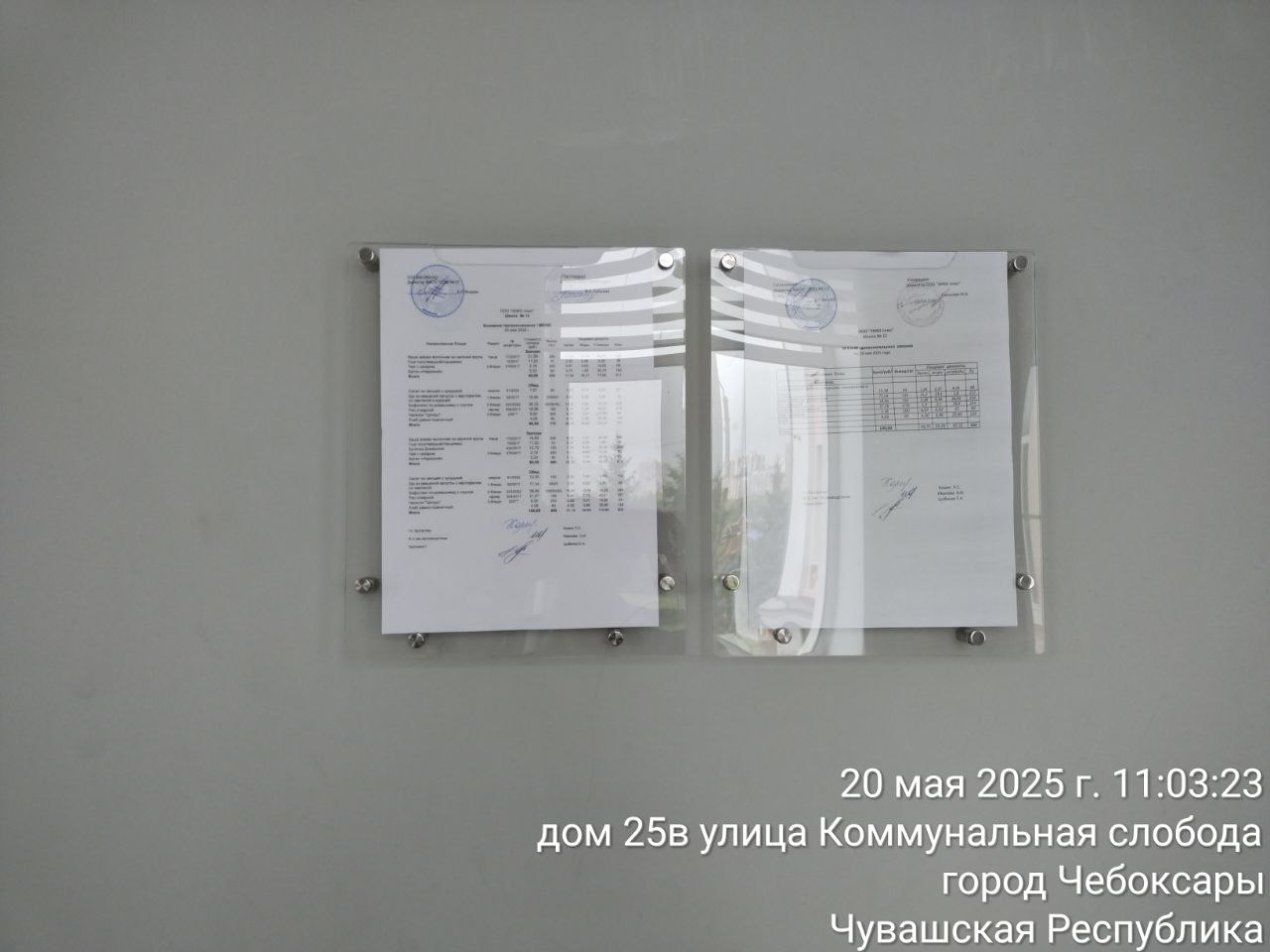 photo 2025 05 20 11 13 54 3