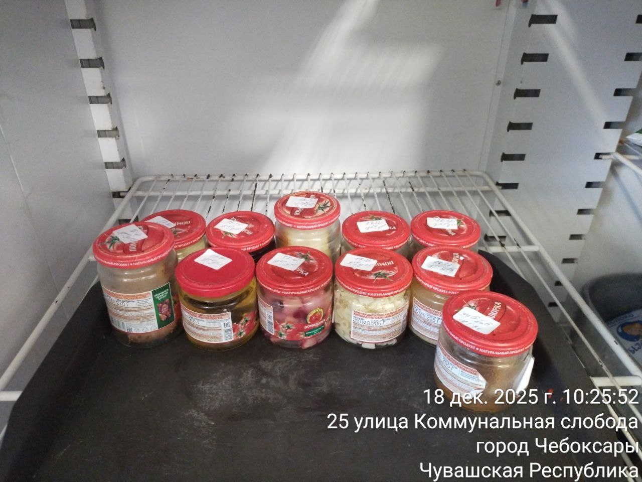 photo 2025 12 18 10 35 30