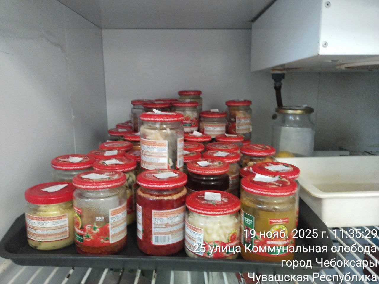 photo 2025 11 19 11 48 17