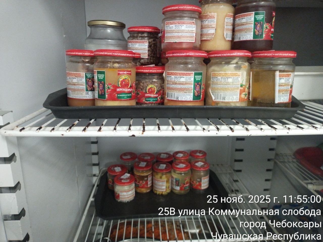 photo 2025 11 25 12 04 33