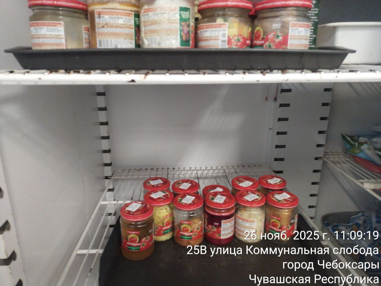 photo 2025 11 26 11 15 49