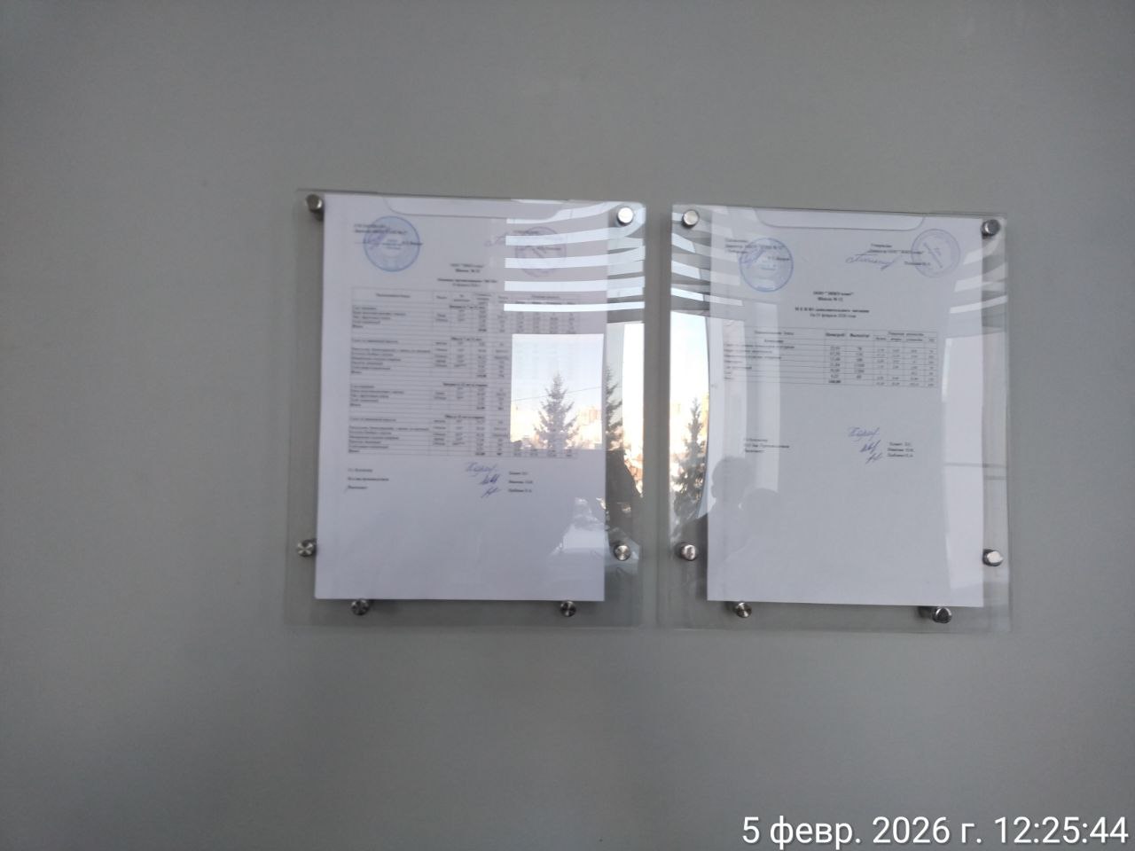 photo 2026 02 05 12 33 17