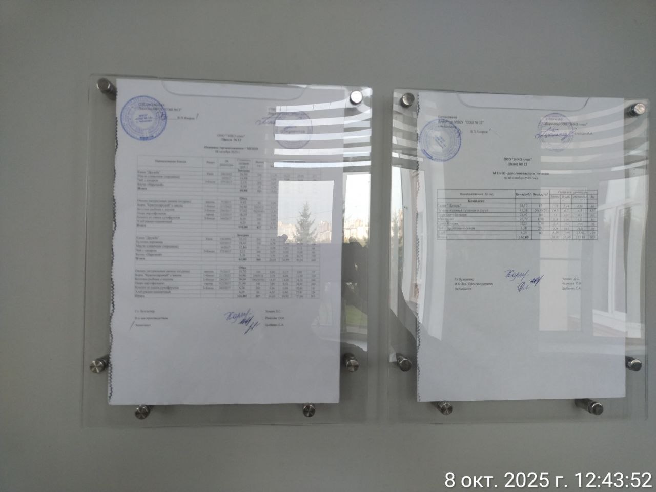 photo 2025 10 08 12 44 52 4