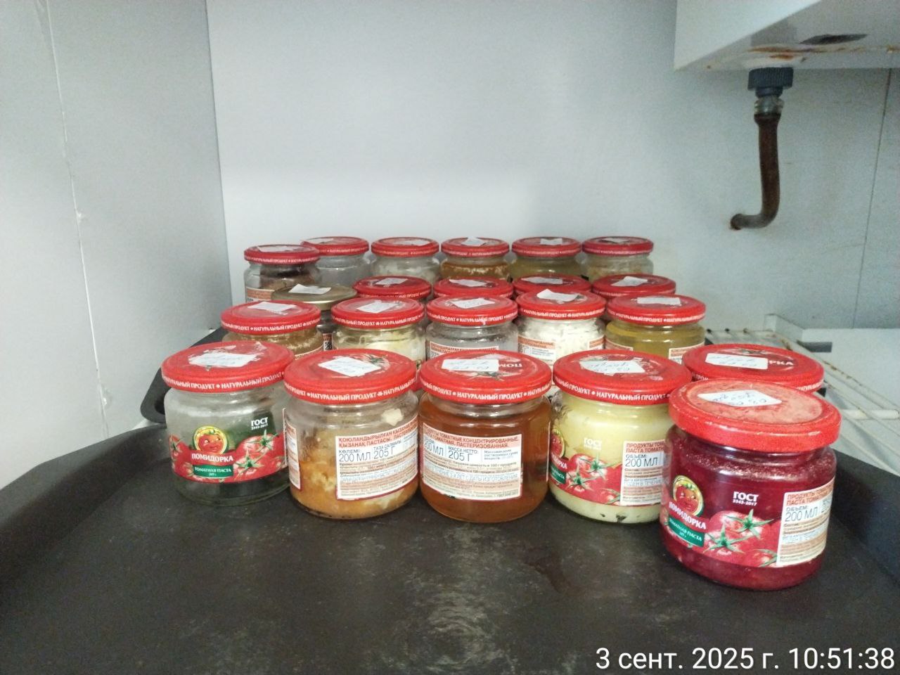 photo 2025 09 03 11 16 39