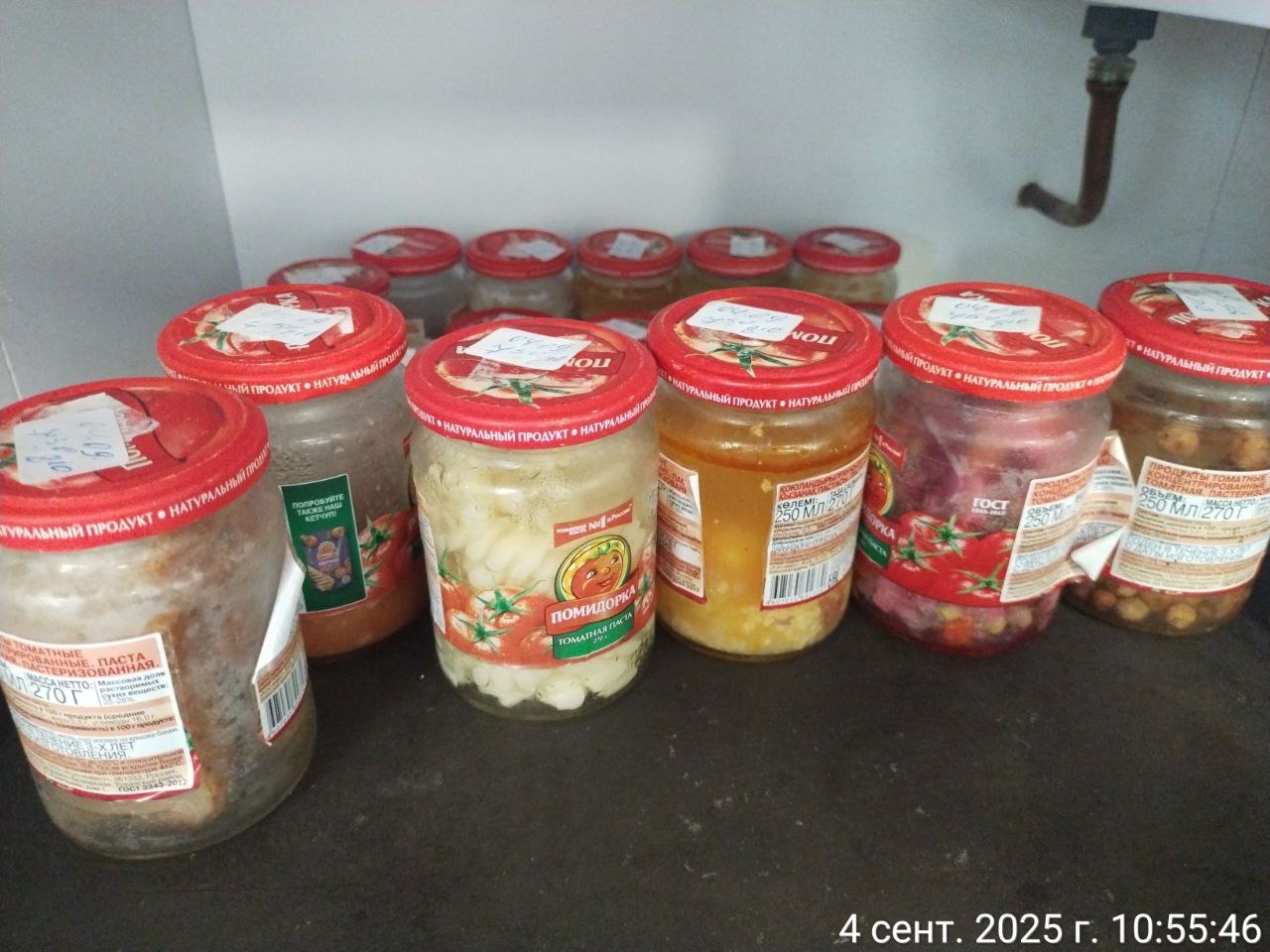 photo 2025 09 04 10 55 08