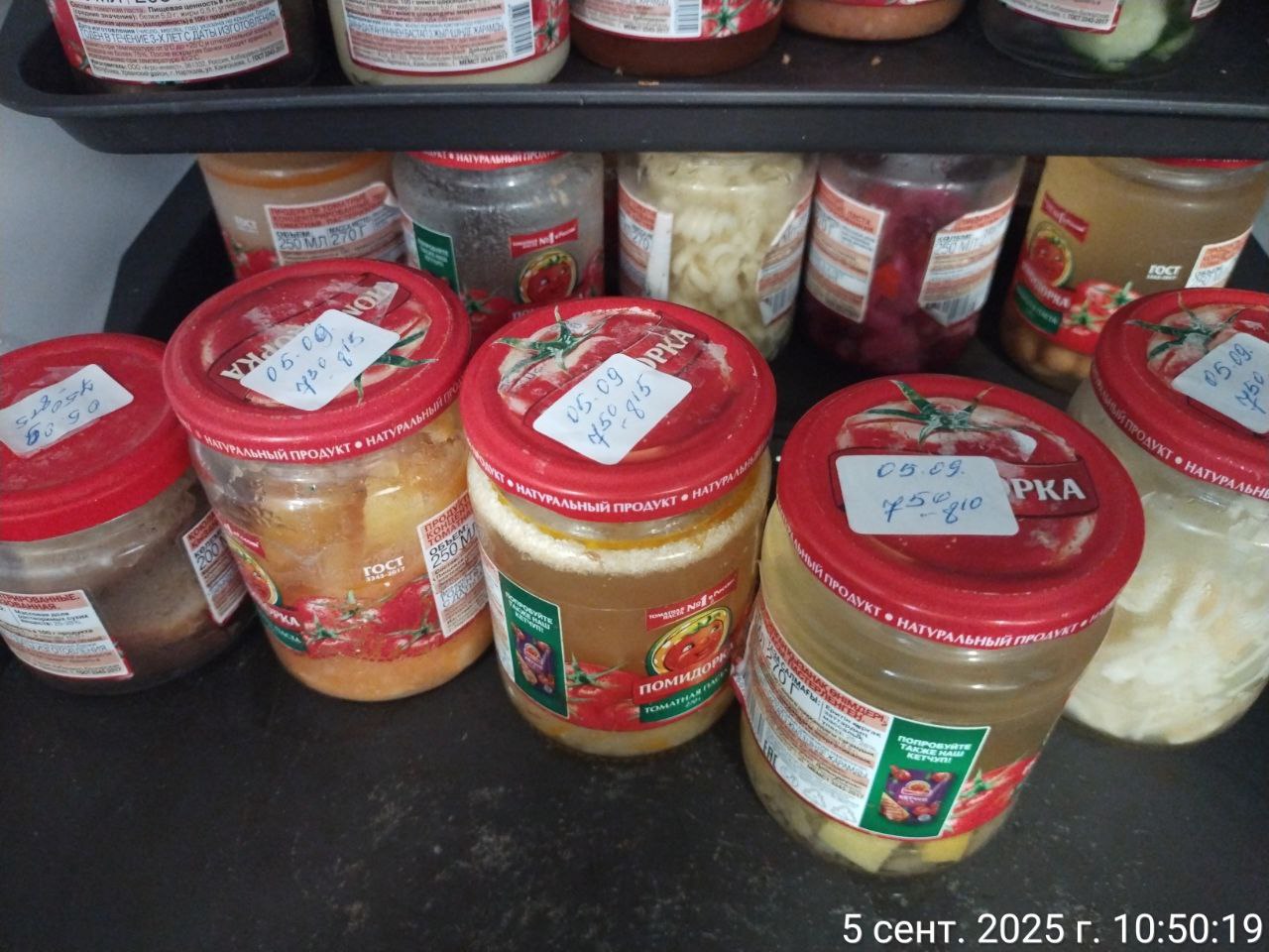 photo 2025 09 05 10 51 24 2