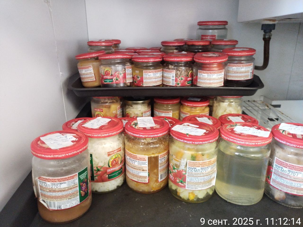 photo 2025 09 09 11 12 50