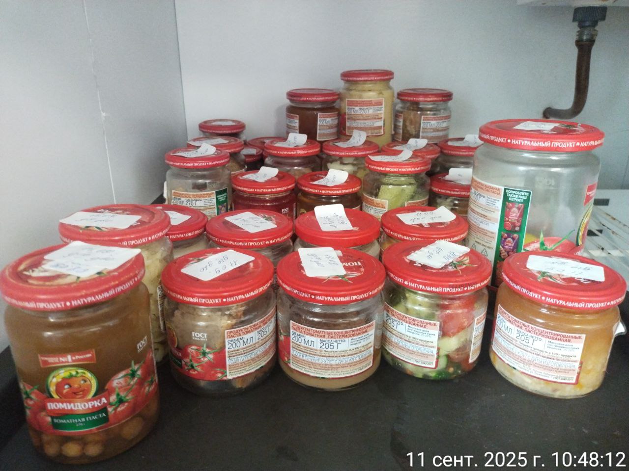 photo 2025 09 11 10 45 54