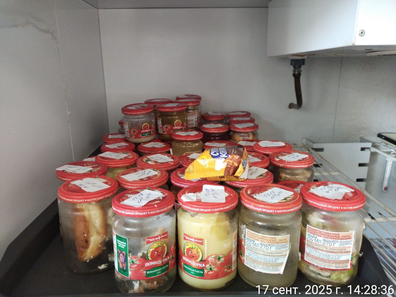 photo 2025 09 17 14 30 47